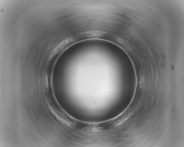 X0000059040254200510101017