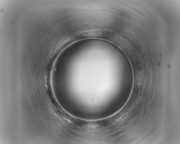 X0000059040255200510101017