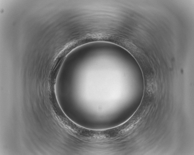 X0000059040256200510101017