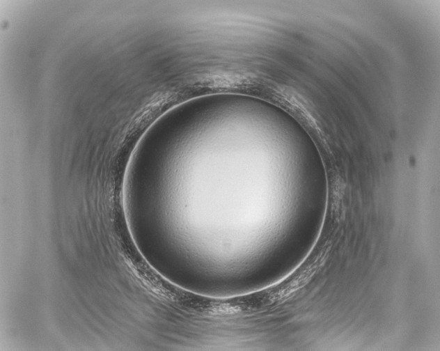 X0000059040257200510101017