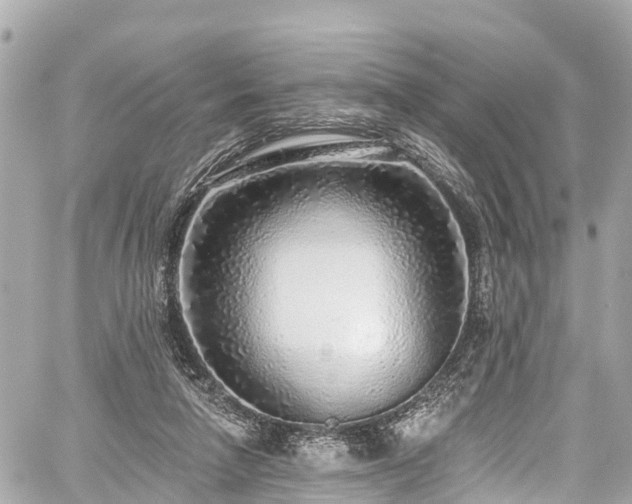 X0000059040258200510101017