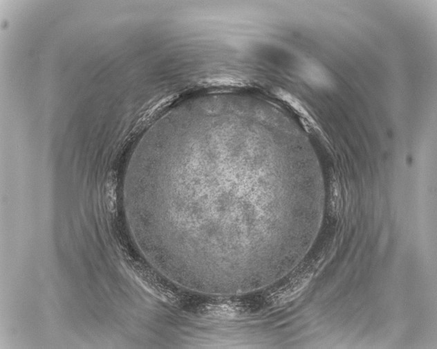 X0000059040259200510101017