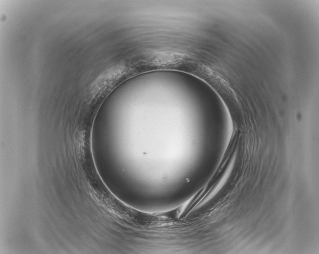 X0000059040260200510101017