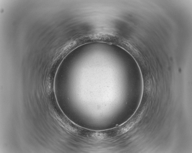 X0000059040261200510101017