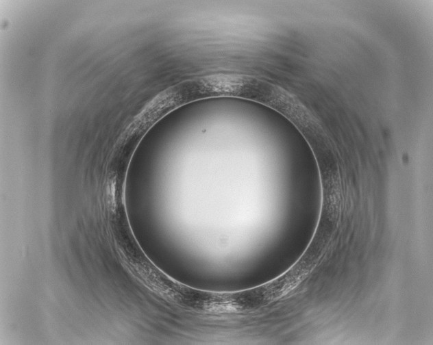 X0000059040262200510101017