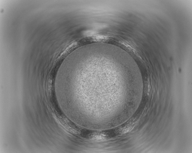 X0000059040263200510101017