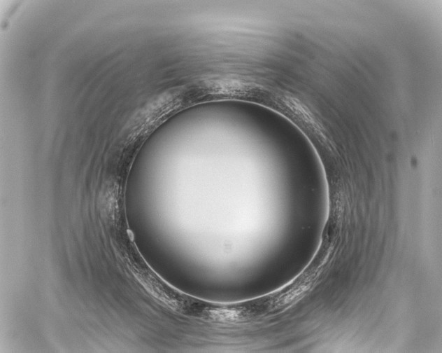 X0000059040265200510101017