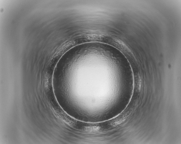 X0000059040266200510101017