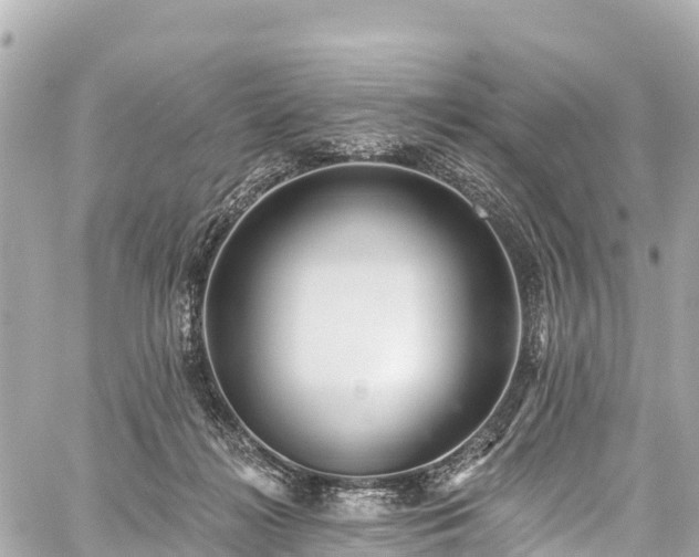 X0000059040268200510101017