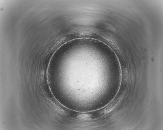 X0000059040269200510101017