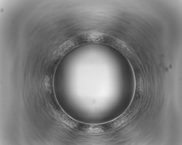 X0000059040270200510101017