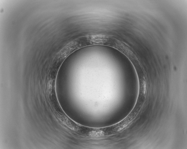 X0000059040271200510101017