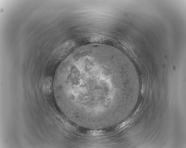 X0000059040273200510101017