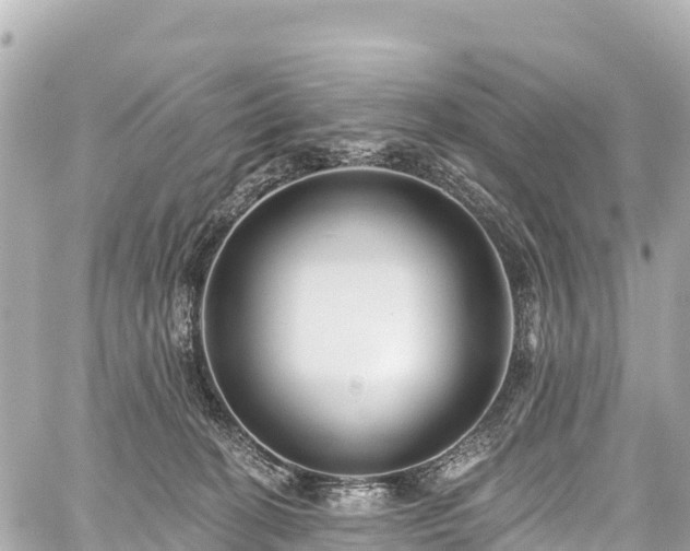 X0000059040274200510101017