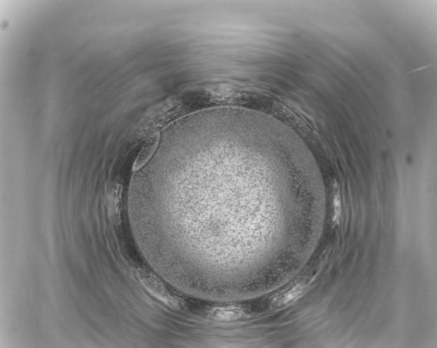 X0000059040275200510101018