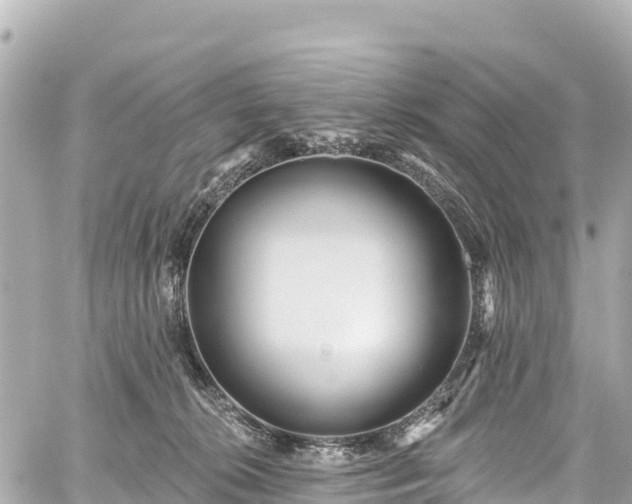 X0000059040276200510101018