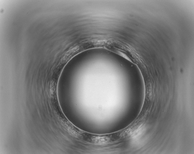 X0000059040277200510101018