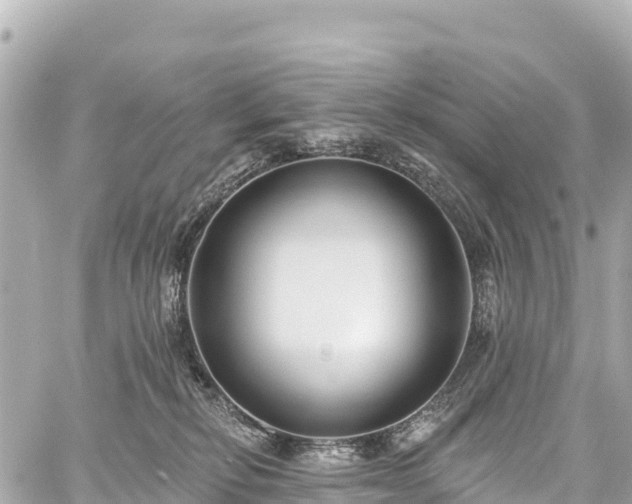 X0000059040278200510101018