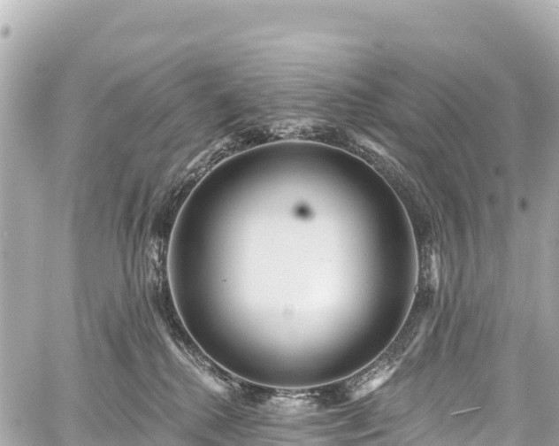 X0000059040280200510101018