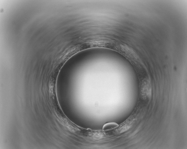 X0000059040282200510101018