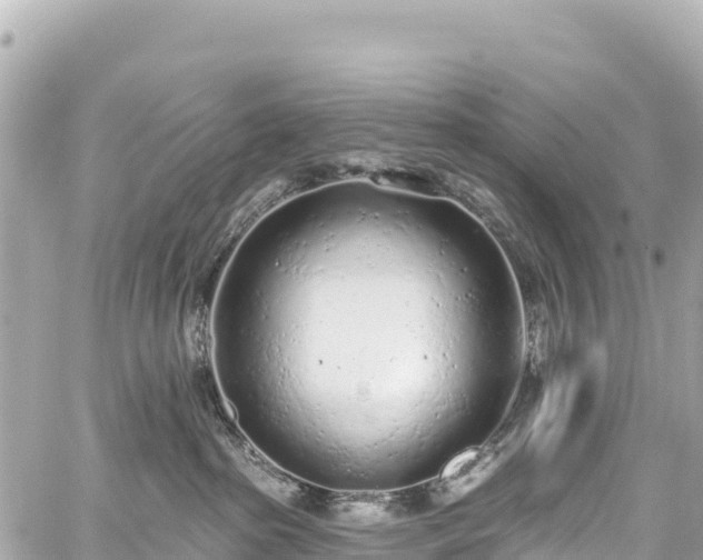 X0000059040285200510101018