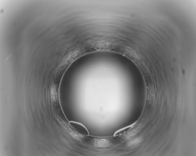 X0000059040287200510101018