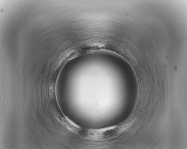 X0000059040288200510101018