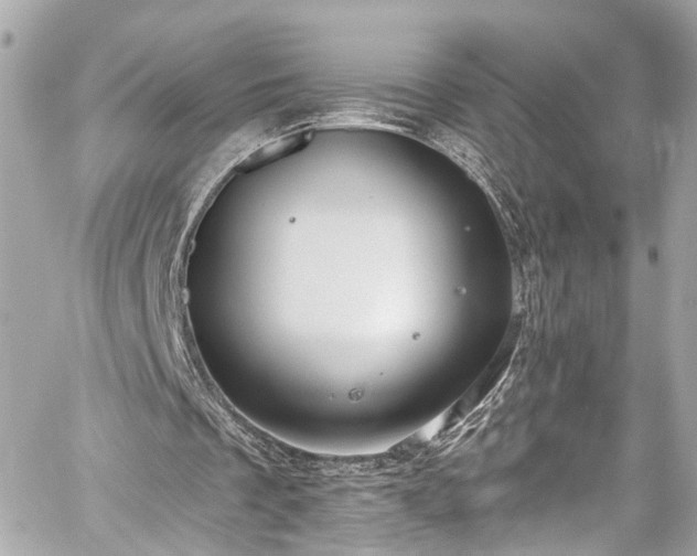 X0000059040289200510101017