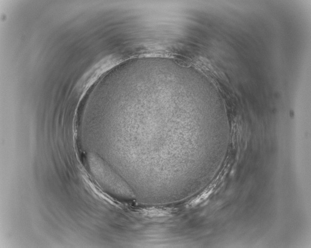 X0000059040290200510101017