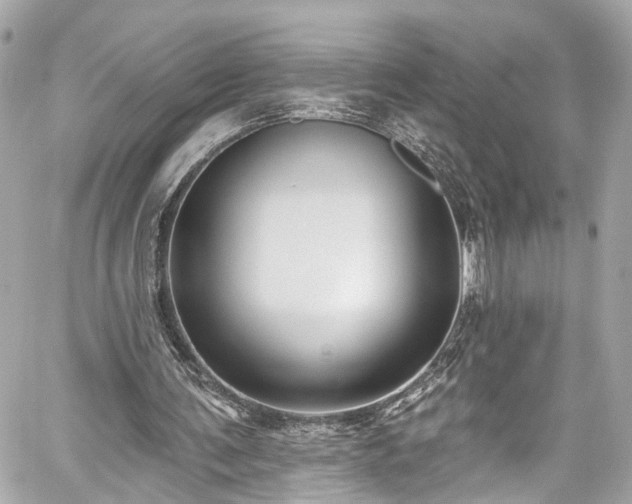 X0000059040291200510101017