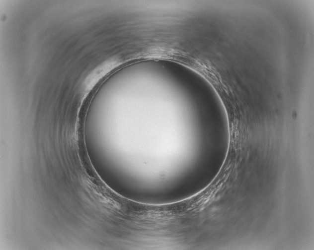 X0000059040292200510101017