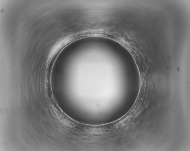 X0000059040293200510101017