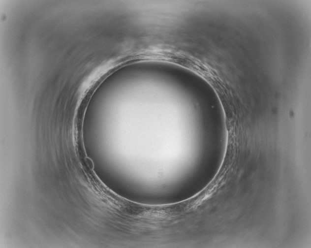 X0000059040294200510101017