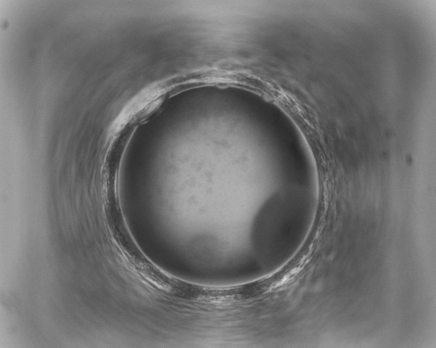 X0000059040295200510101017