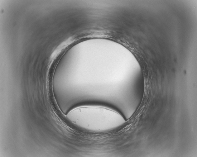 X0000059040296200510101017