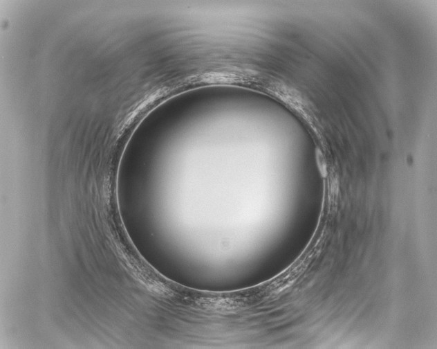 X0000059040297200510101017