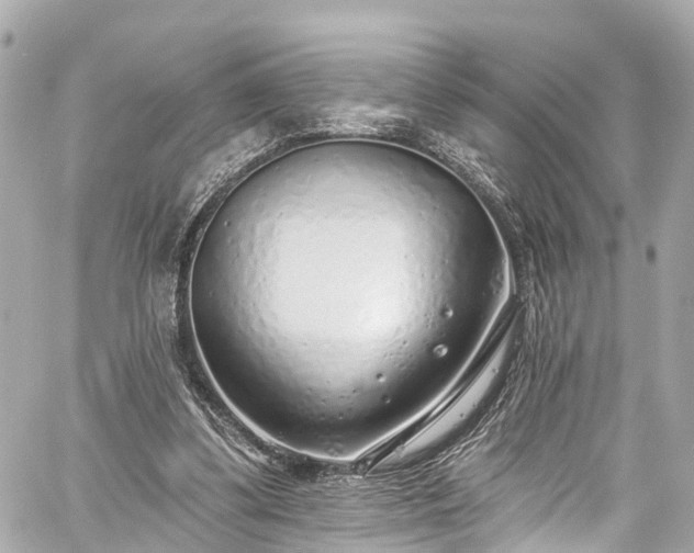 X0000059040299200510101017