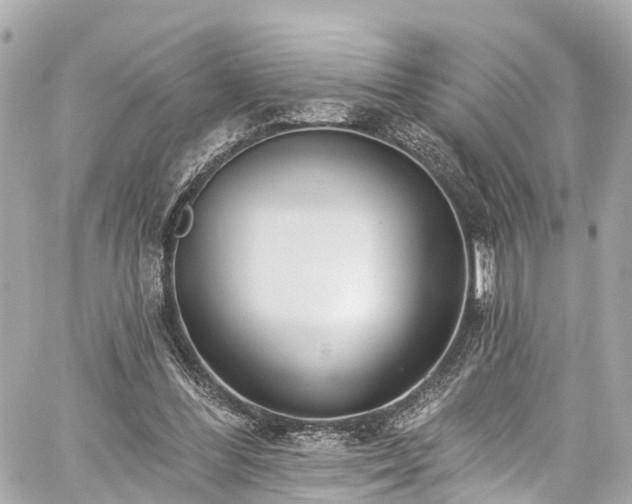 X0000059040300200510101017