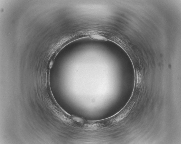 X0000059040301200510101017