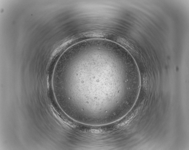 X0000059040302200510101017