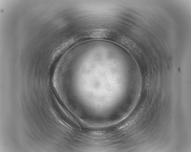 X0000059040303200510101017