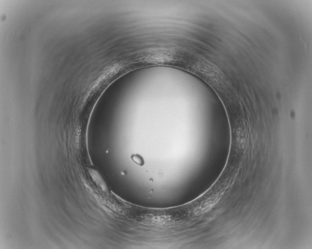 X0000059040304200510101017