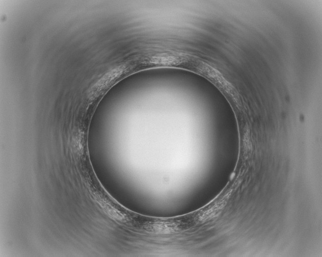 X0000059040305200510101017