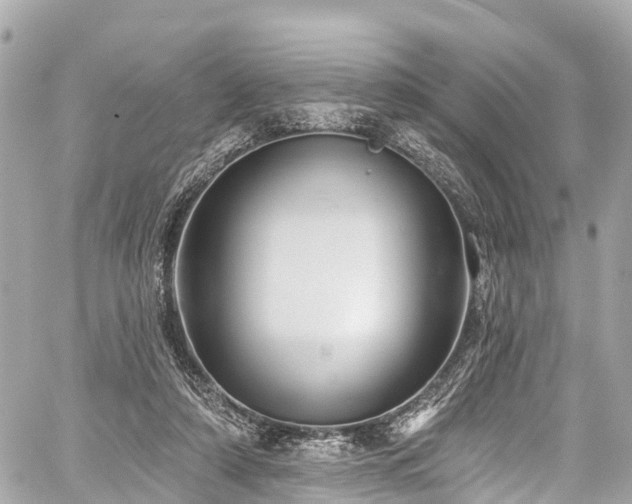 X0000059040306200510101017