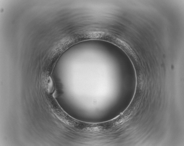 X0000059040307200510101017