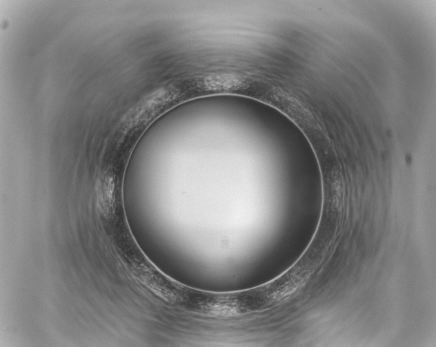 X0000059040308200510101017