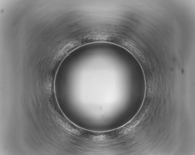 X0000059040309200510101017