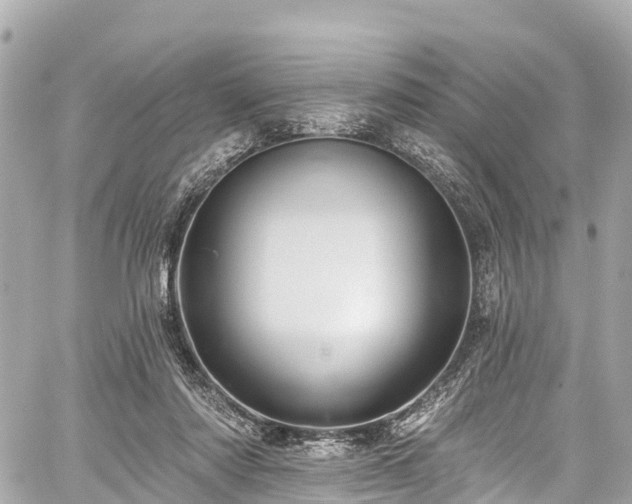 X0000059040310200510101017