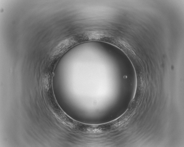 X0000059040311200510101017