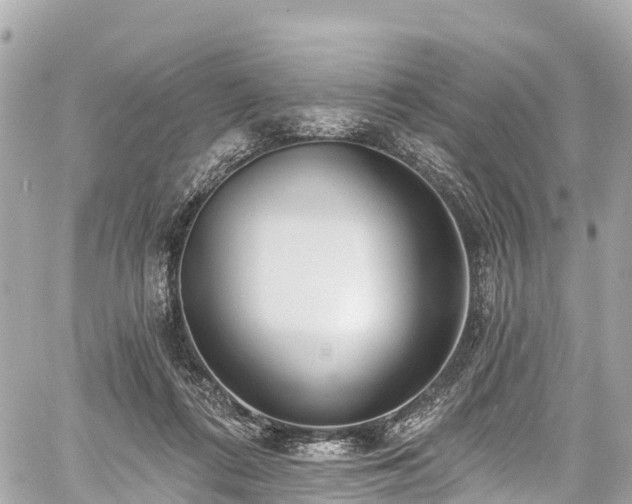 X0000059040312200510101017